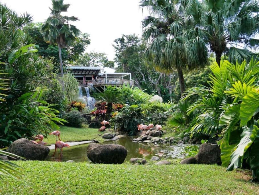 Les Pieds Dans L'Eau Chez Syl Apartment เลอ มูเล่ ภายนอก รูปภาพ